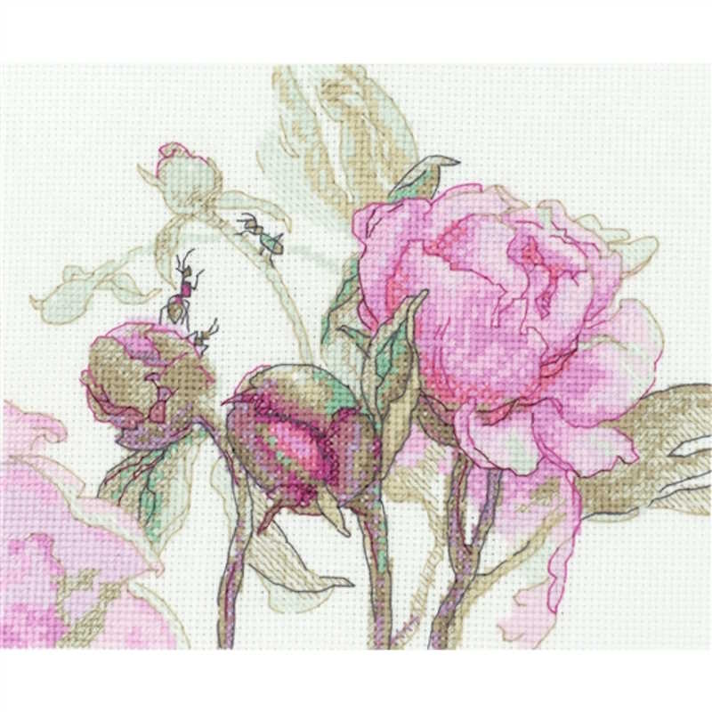 Peonies Delight Cross Stitch Kit By Aine